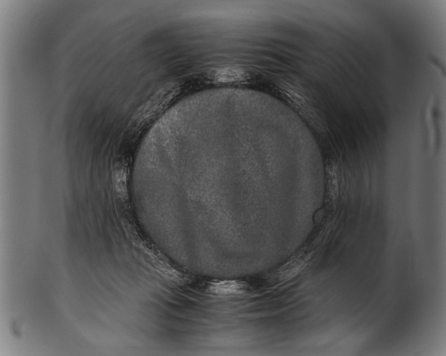 X0000100860269200807111300