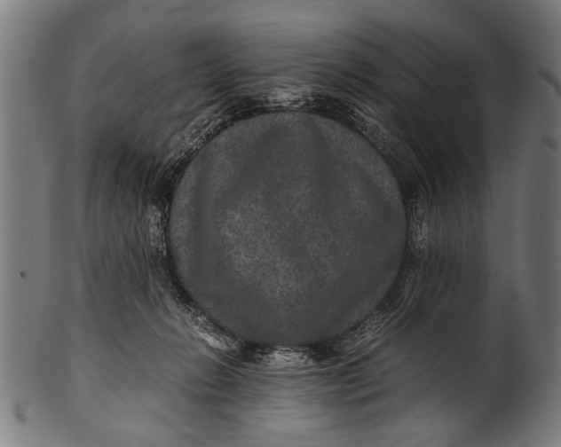 X0000100860270200807111300