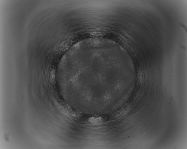 X0000100860271200807111300