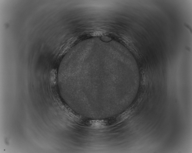 X0000100860273200807111300