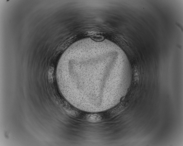 X0000100860275200807111300