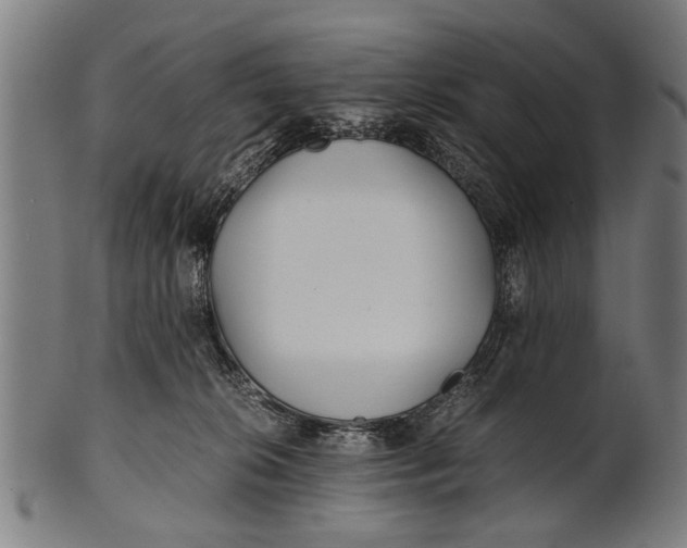 X0000100860276200807111300