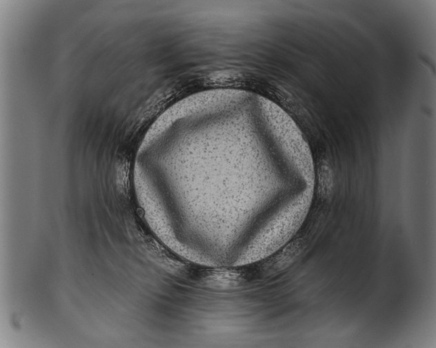 X0000100860278200807111301