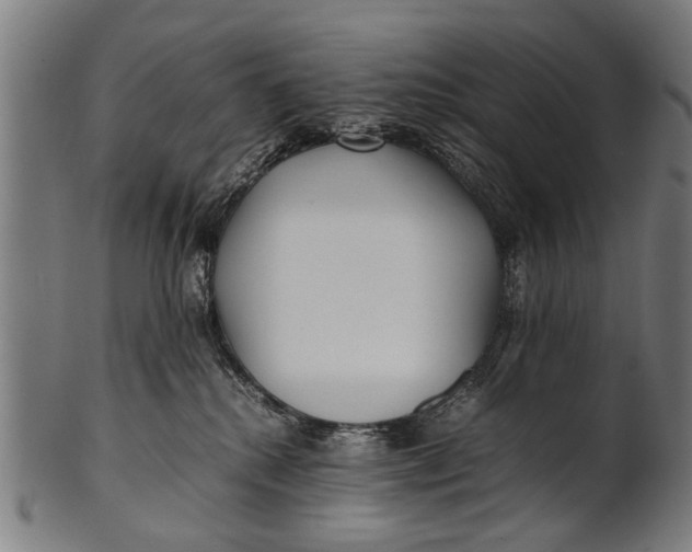 X0000100860280200807111301