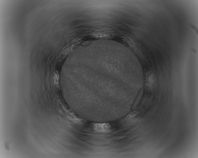 X0000100860281200807111301