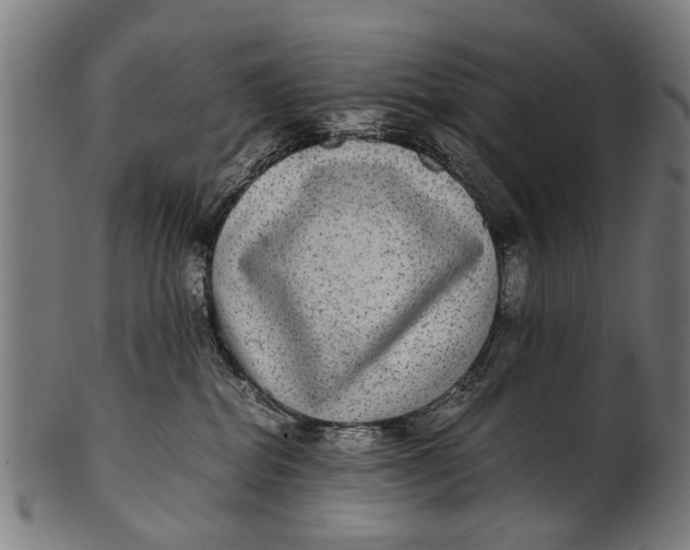 X0000100860282200807111301