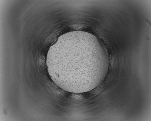 X0000100860283200807111301