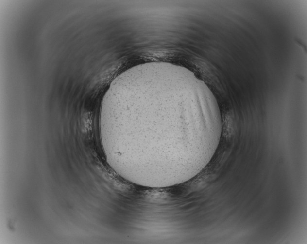 X0000100860284200807111301