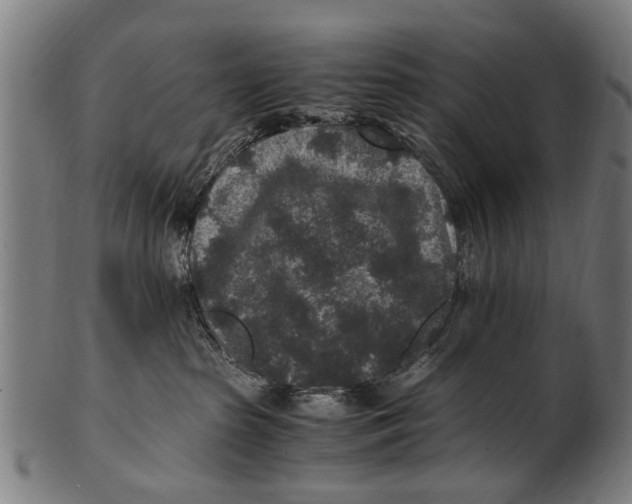 X0000100860285200807111301