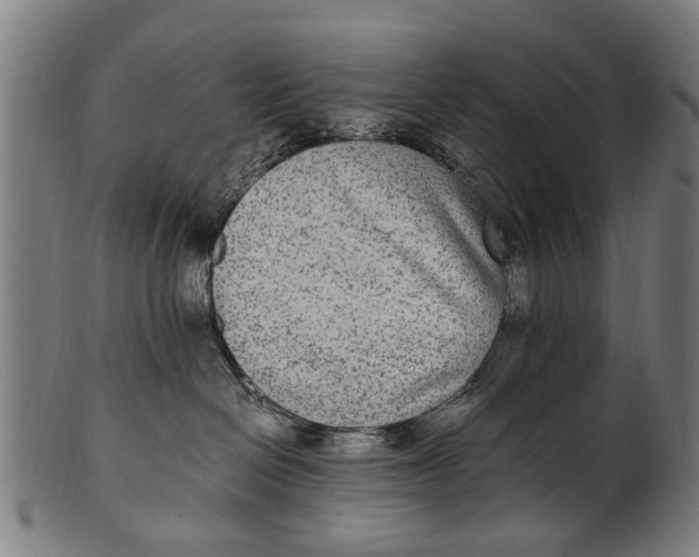 X0000100860286200807111301