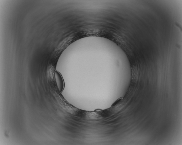 X0000100860287200807111301