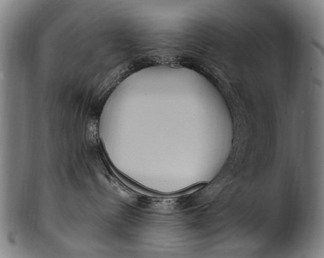 X0000100860288200807111301