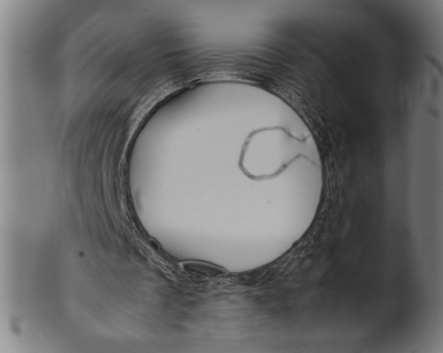 X0000100860289200807111300