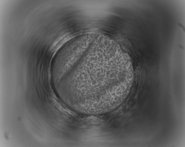 X0000100860290200807111300