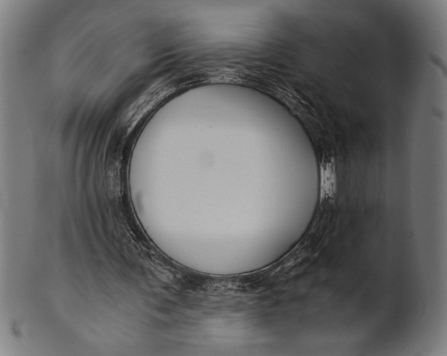 X0000100860291200807111300