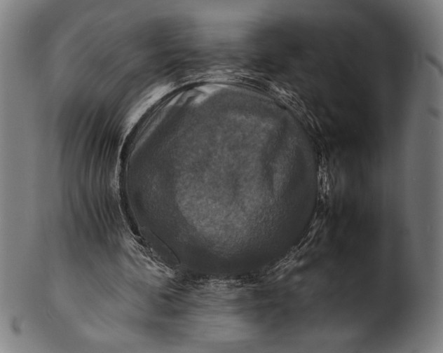 X0000100860292200807111300