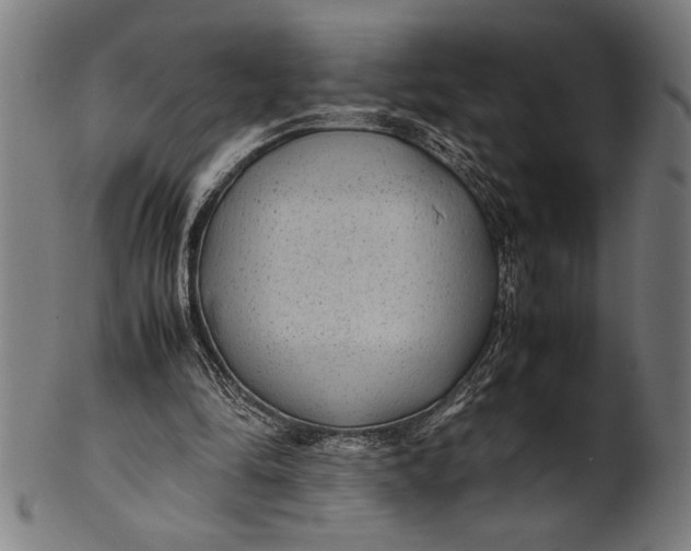 X0000100860294200807111300