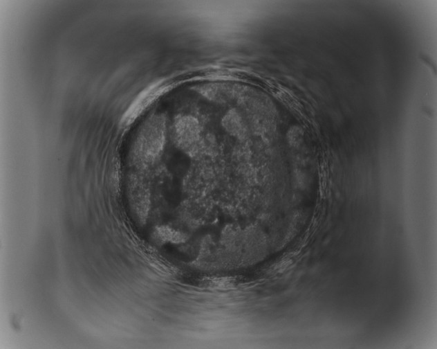 X0000100860295200807111300