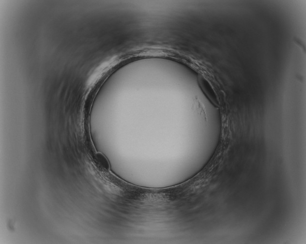 X0000100860296200807111300