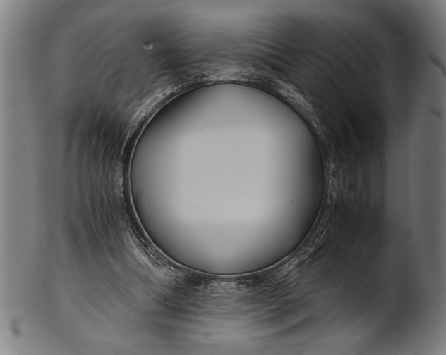 X0000100860298200807111300