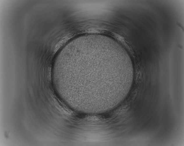 X0000100860299200807111300