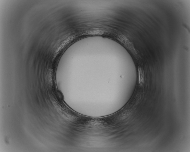 X0000100860300200807111300