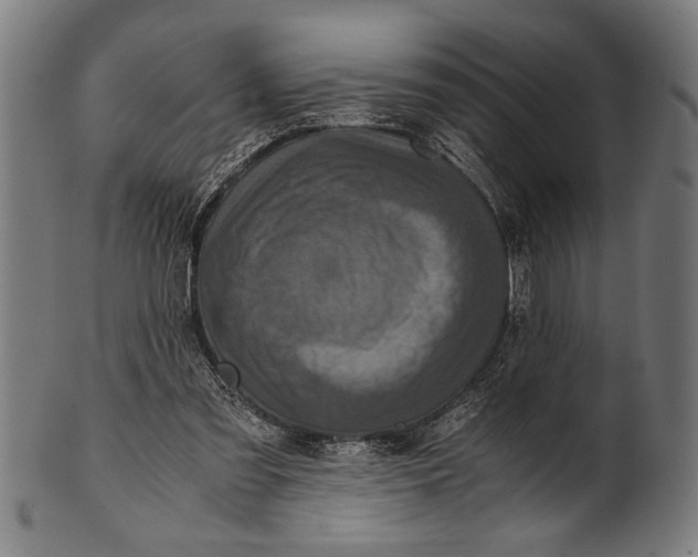 X0000100860301200807111300