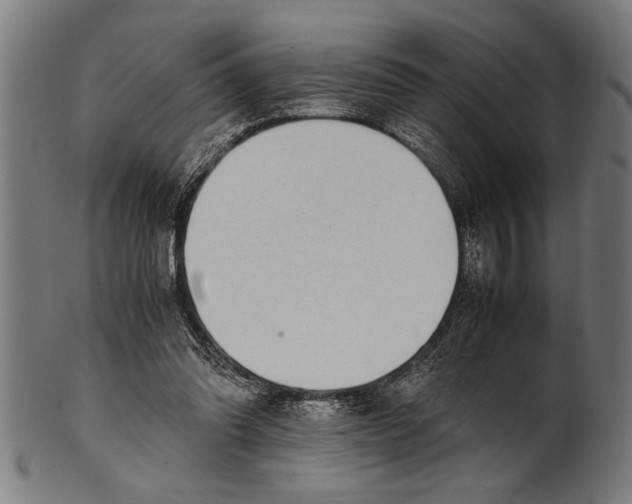 X0000100860302200807111300