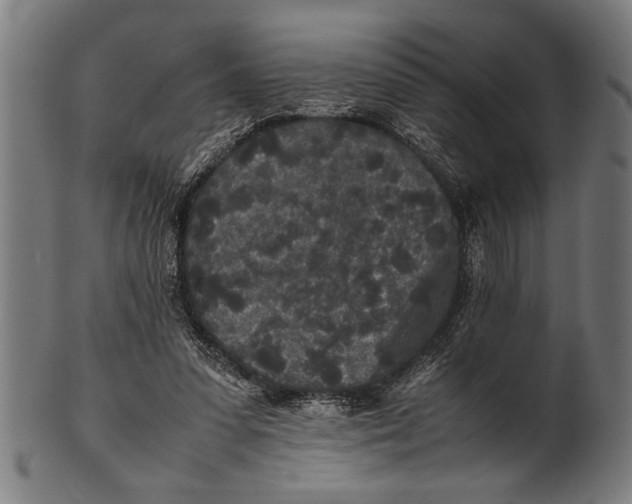 X0000100860303200807111300