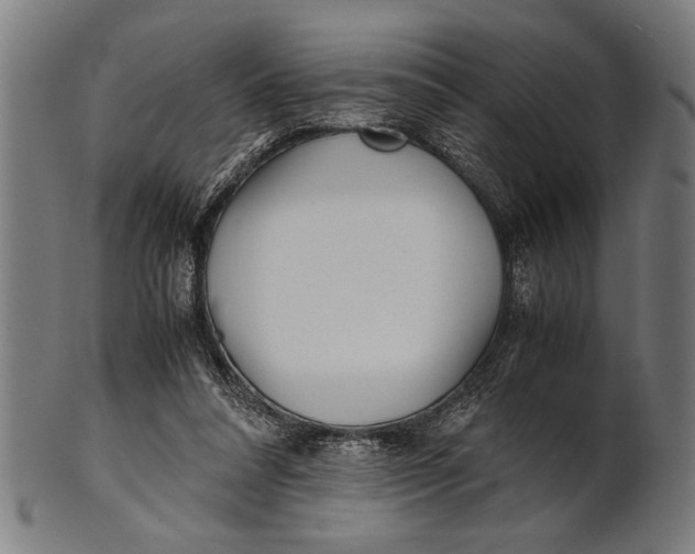 X0000100860304200807111300