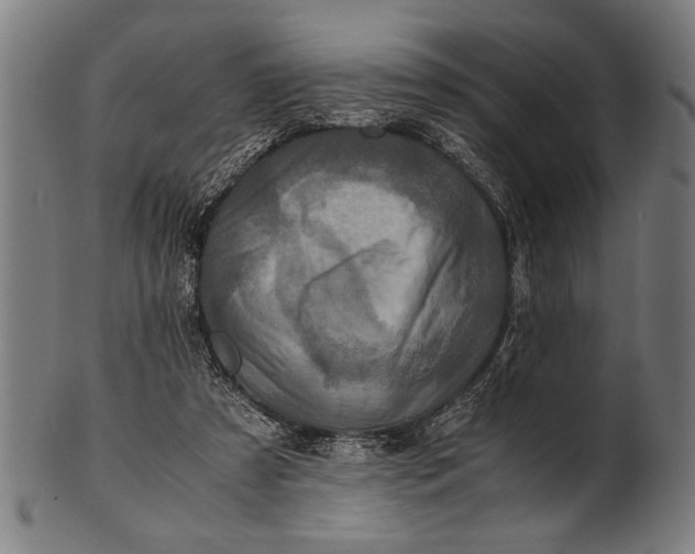 X0000100860305200807111300