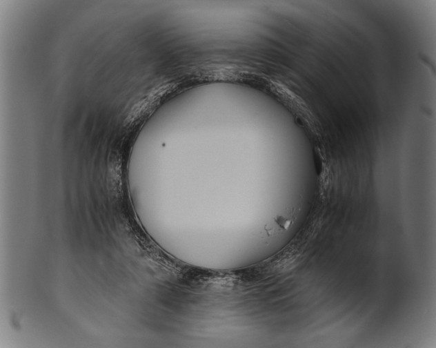 X0000100860306200807111300