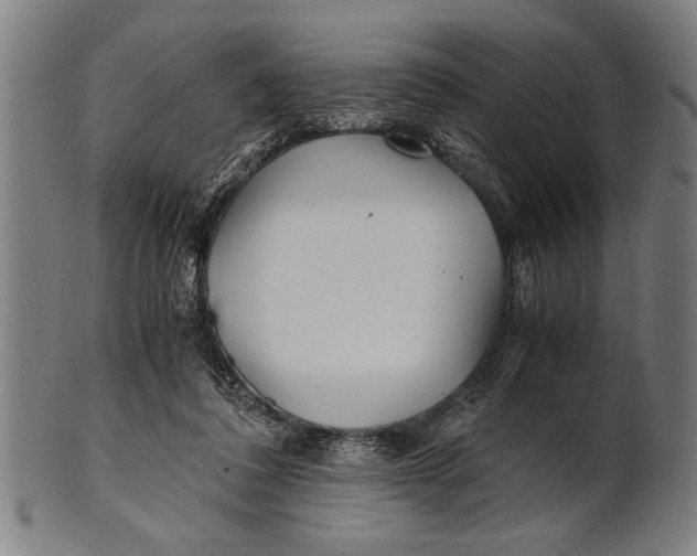 X0000100860308200807111300