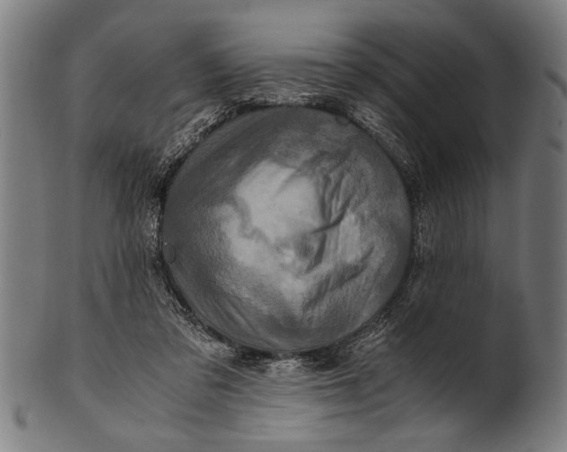 X0000100860309200807111300