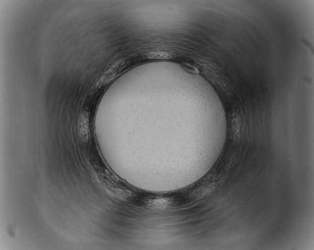 X0000100860312200807111300