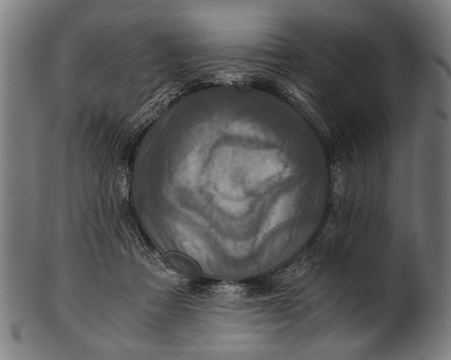 X0000100860313200807111300