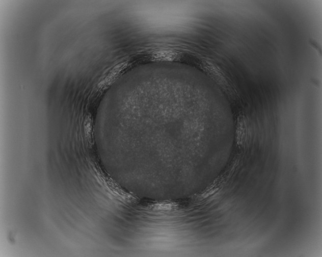 X0000100860314200807111300