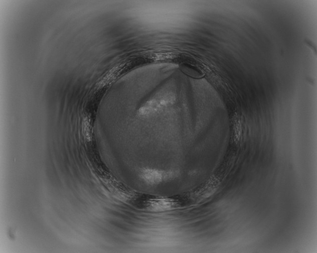 X0000100860316200807111259