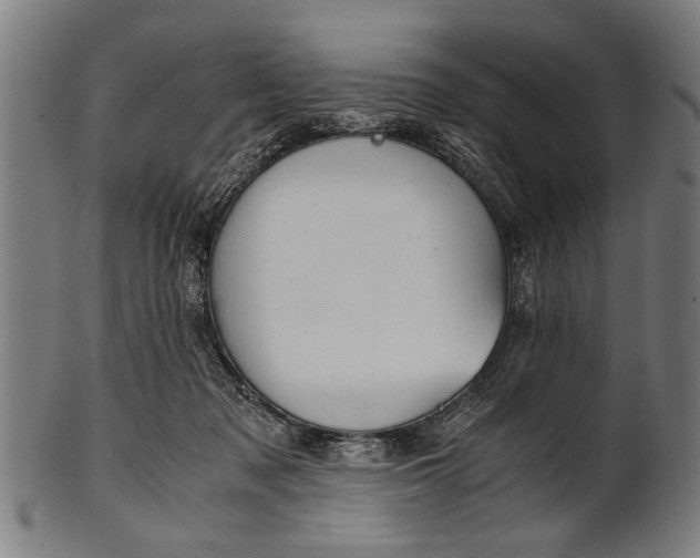 X0000100860317200807111259