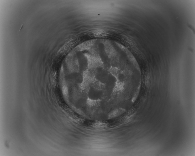 X0000100860319200807111259