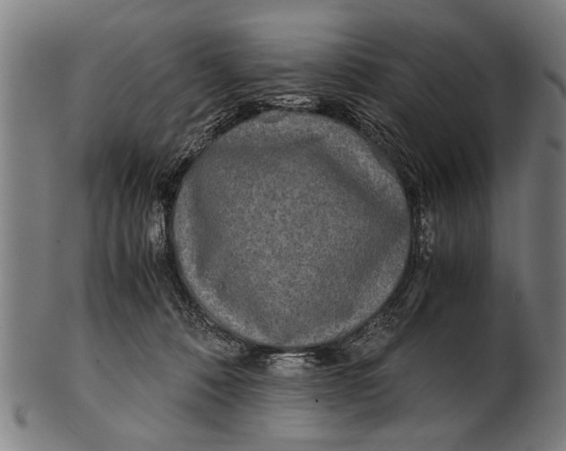 X0000100860320200807111259