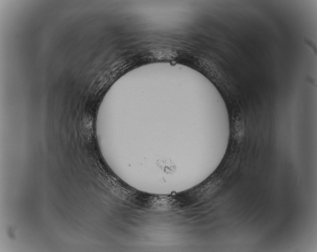 X0000100860321200807111259