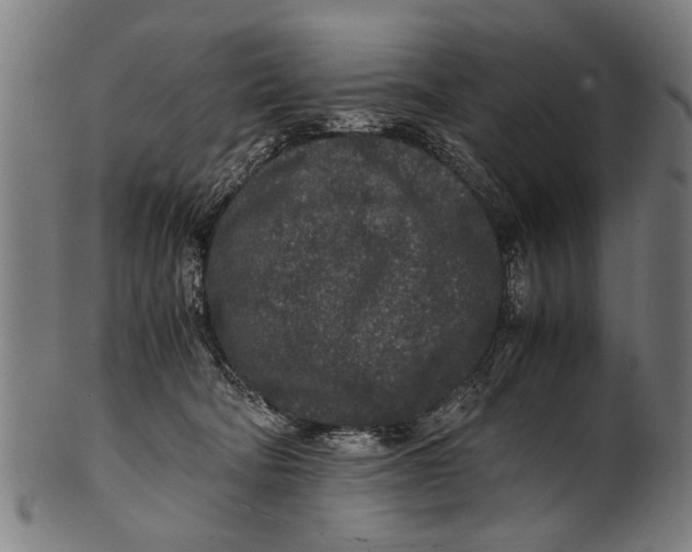 X0000100860322200807111259