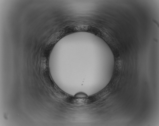 X0000100860323200807111259