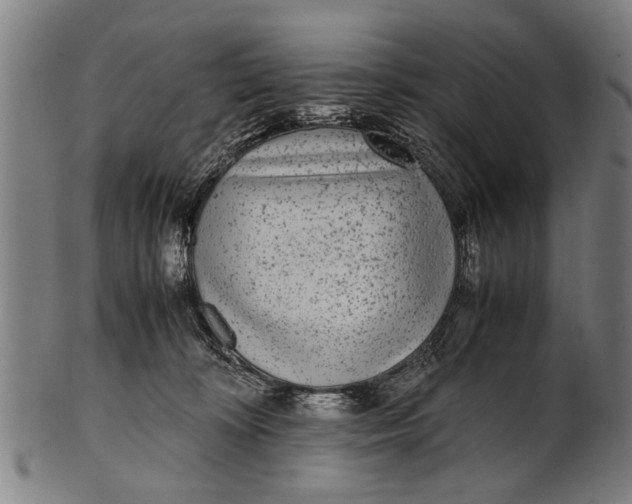 X0000100860324200807111259