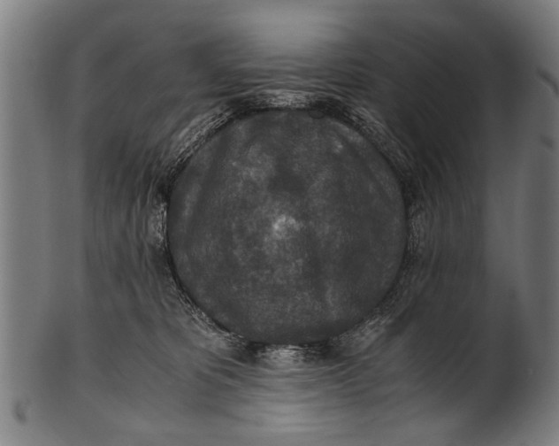 X0000100860325200807111259