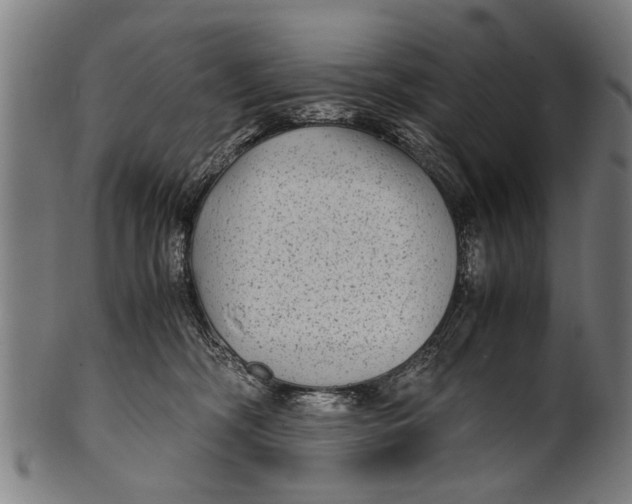 X0000100860326200807111259