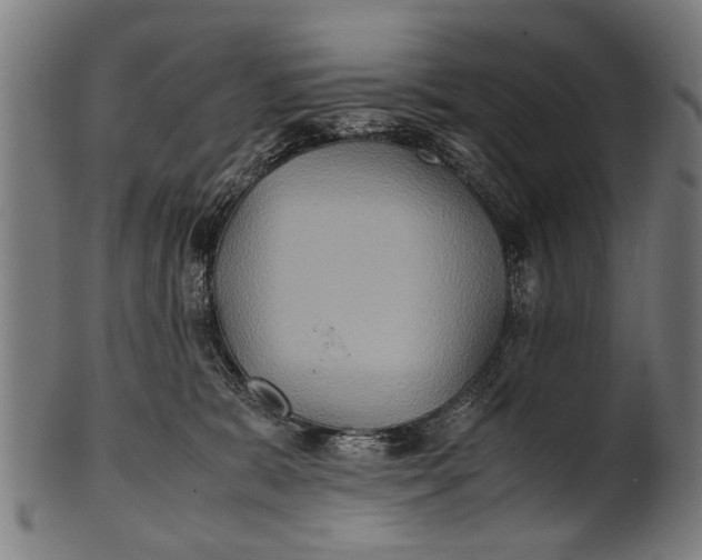 X0000100860327200807111259