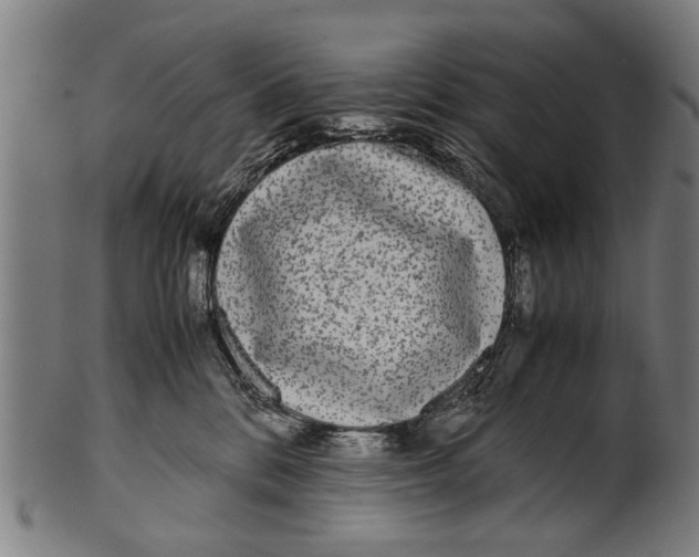 X0000100860328200807111259