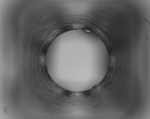 X0000100860329200807111259